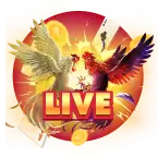 Live Casino